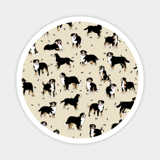 Bernese Mountain Dog Magnet